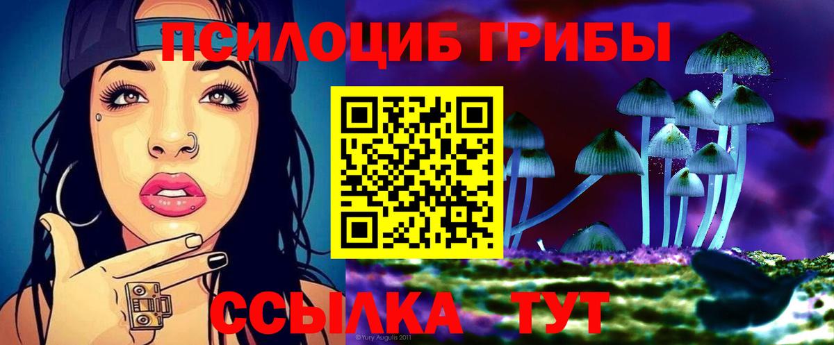 Ливны  Галлюциногенные грибы мицелий  что такое наркотик  Вход с VPN 