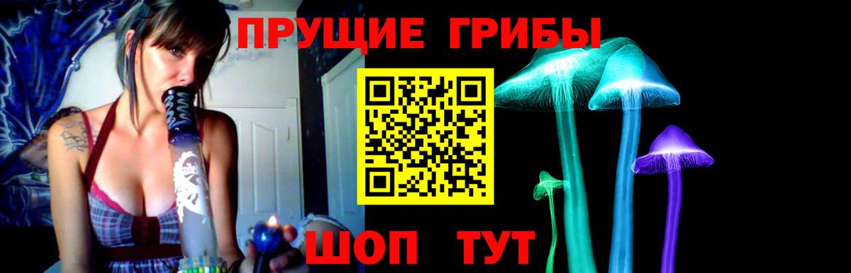 Галлюциногенные грибы GOLDEN TEACHER Ливны