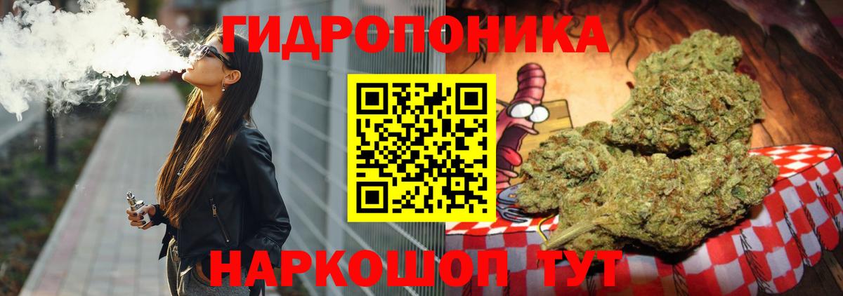 Конопля OG Kush Ливны